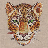 Leopard Portrait