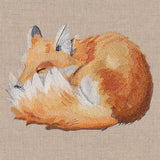 Sleeping Softly Fox
