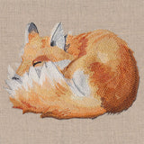 Sleeping Softly Fox