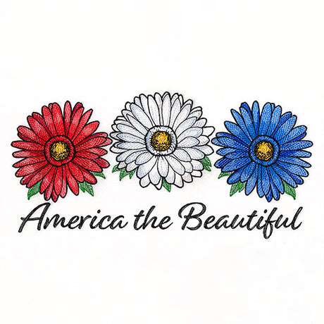America the Beautiful Daisies