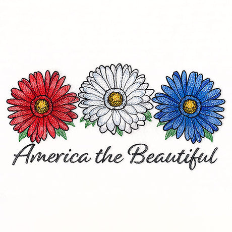 America the Beautiful Daisies