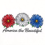 America the Beautiful Daisies