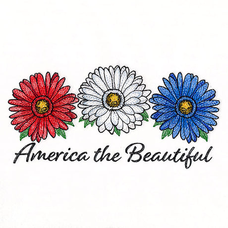 America the Beautiful Daisies