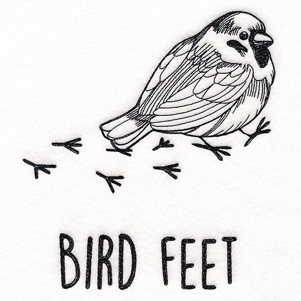 Bird Feet Chickadee