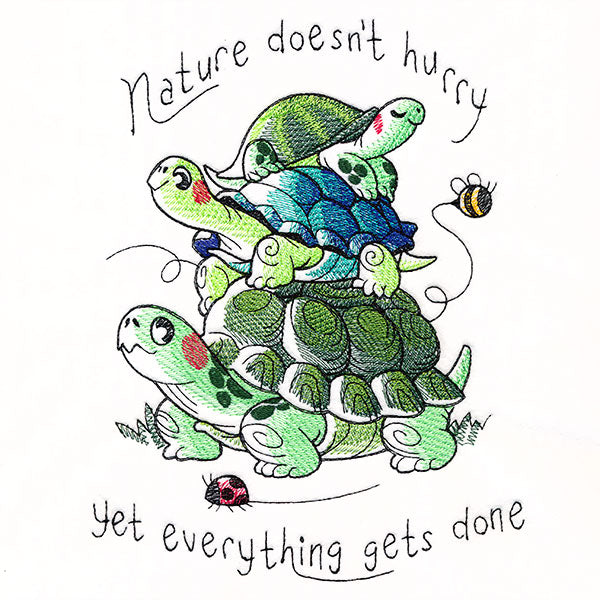 Nature Doesn't Hurry Turtle Stack