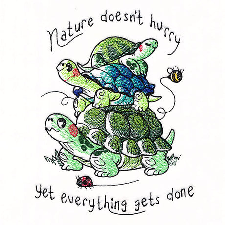 Nature Doesn't Hurry Turtle Stack