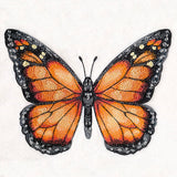 Monarch Specimen