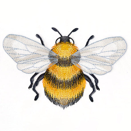 Buzzing with Texture Honeybee