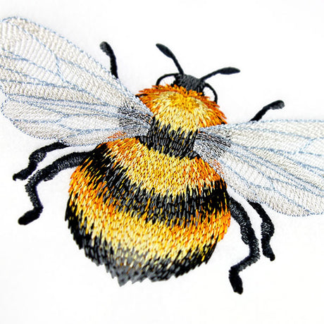 Buzzing with Texture Honeybee