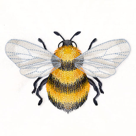 Buzzing with Texture Honeybee