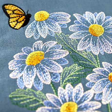 Daisies and Monarch Feature