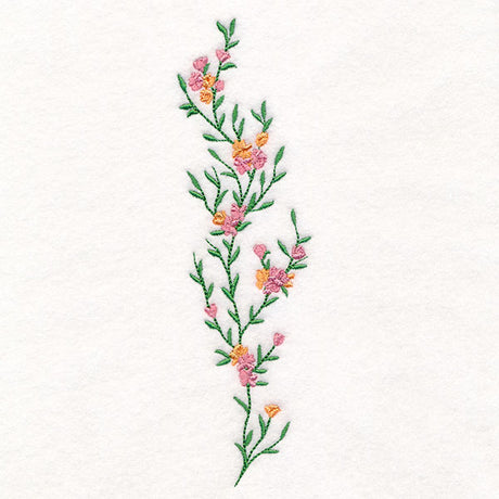 Delicate Botanicals Tall Border