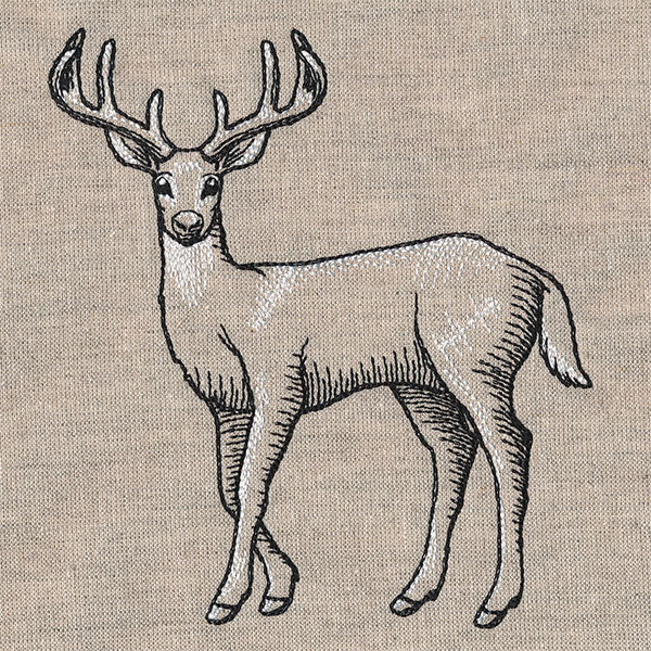 Wild Deer Etching