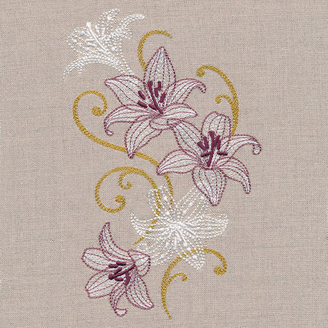 Sheer and Elegant Lilies