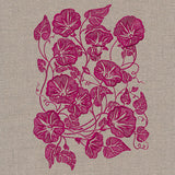 Morning Glory Feature