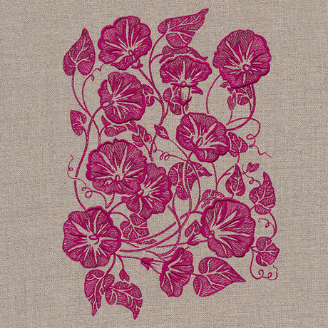 Morning Glory Feature