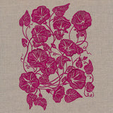 Morning Glory Feature