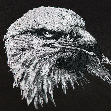 Etching Bald Eagle