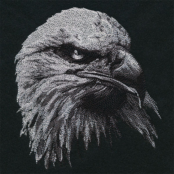Etching Bald Eagle
