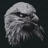 Etching Bald Eagle