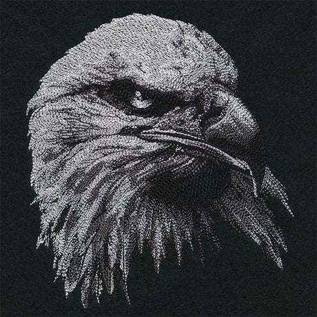 Etching Bald Eagle