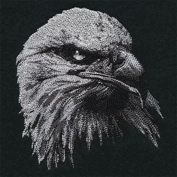 Etching Bald Eagle