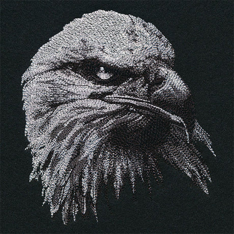 Etching Bald Eagle
