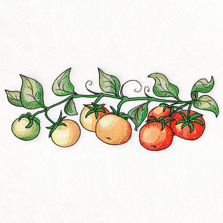 Color Theory Tomato Border