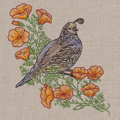 Happy Quail and Poppies