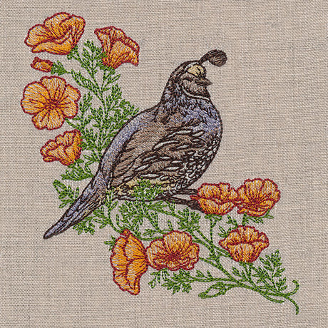 Happy Quail and Poppies