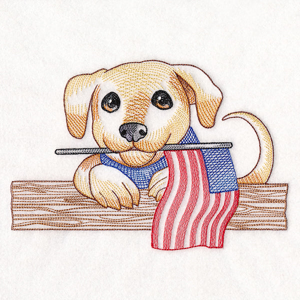 Americana Puppy