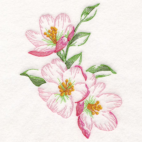 Sheer and Elegant Peony Corner 2