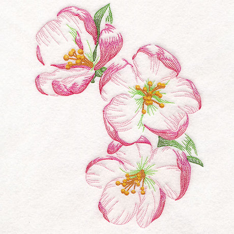 Sheer and Elegant Peony Corner 1