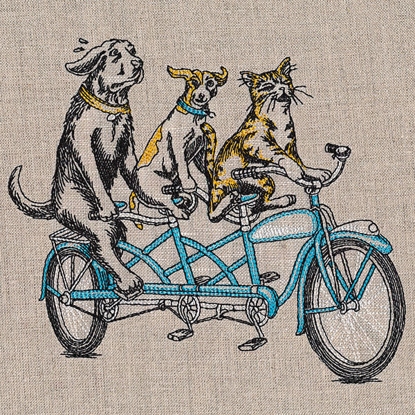 Cruisin' Pets on a Tandem