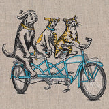 Cruisin' Pets on a Tandem