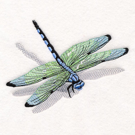 Nature's Simple Dragonfly