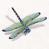 Nature's Simple Dragonfly