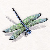 Nature's Simple Dragonfly