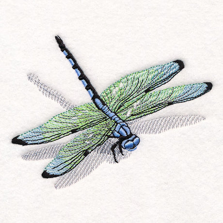 Nature's Simple Dragonfly