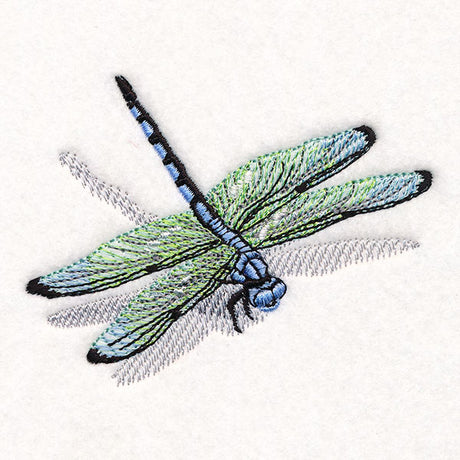 Nature's Simple Dragonfly
