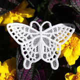 Winged Beauty - Butterfly 2 (Lace)