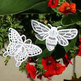 Winged Beauty - Butterfly 2 (Lace)