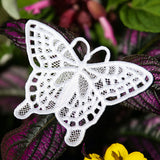 Winged Beauty - Butterfly 2 (Lace)