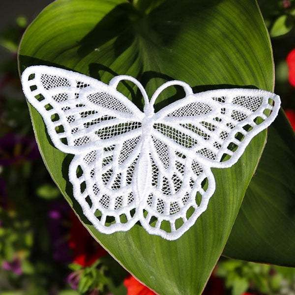 Winged Beauty - Butterfly 3 (Lace)