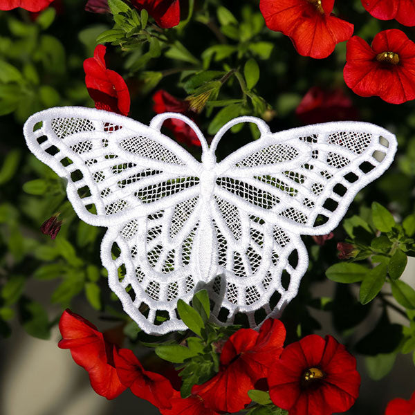 Winged Beauty - Butterfly 3 (Lace)