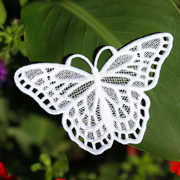 Winged Beauty - Butterfly 3 (Lace)