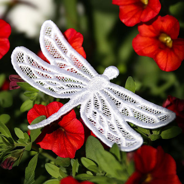 Winged Beauty - Dragonfly (Lace)