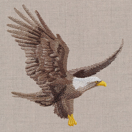 Regal Soaring Eagle