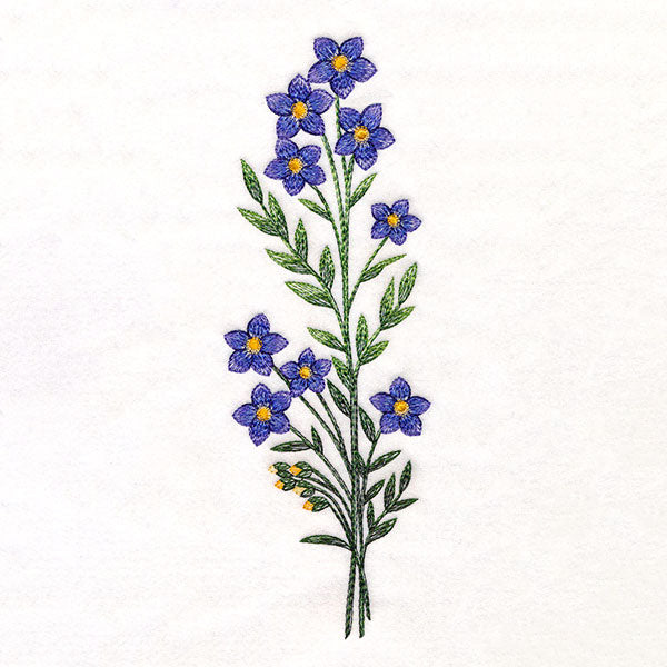 Wild and Free Blooms