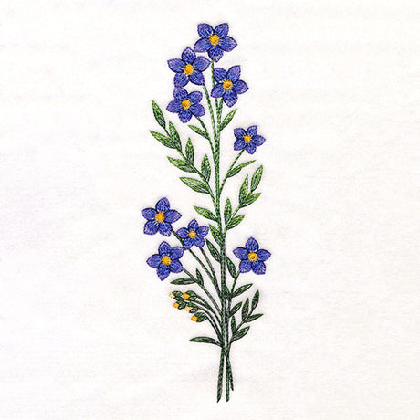 Wild and Free Blooms